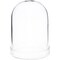 Plymor 3" x 4" Glass Display Dome Cloche (Clear Glass Tray Base)